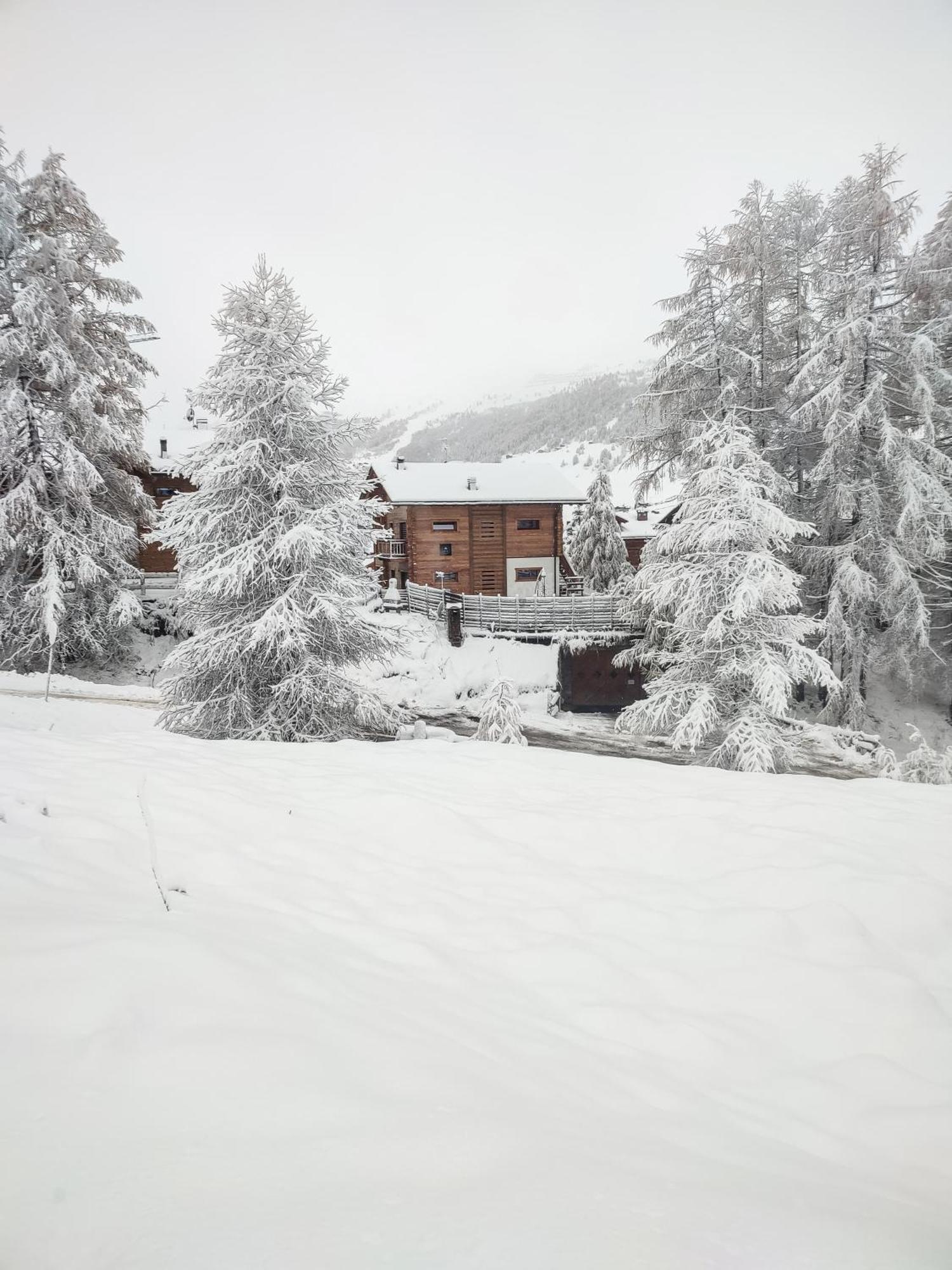 Nix & Nivis Chalet Livigno Exterior foto